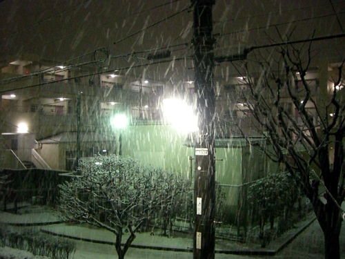 東京雪景色